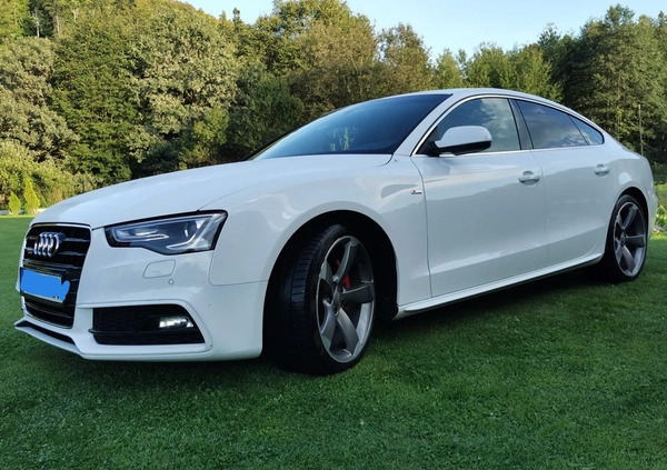 Audi A5 cena 72000 przebieg: 260000, rok produkcji 2014 z Błażowa małe 22